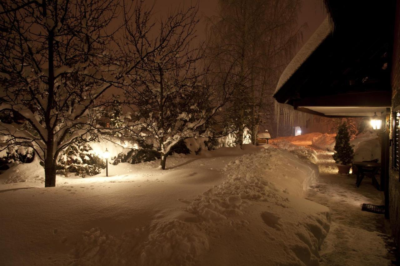 Villa Duric Superior Zlatibor Zewnętrze zdjęcie